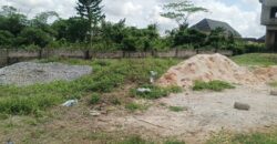 PROPERTY AT ODION ODIGIE STREET, OFF OGHE ROAD, OFF OKOROMI ROAD, OFF AIRPORT ROAD, BENIN CITY, EDO STATE, NIGERIA