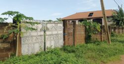 3 PLOTS- (2)100X100=40M EACH, (1)100X200=80M. PROPERTY AT ESUHE STREET OFF AMAGBA ROAD, OGUNWENYI VILLAGE, BENIN CITY, EDO STATE.