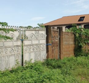 3 PLOTS- (2)100X100=40M EACH, (1)100X200=80M. PROPERTY AT ESUHE STREET OFF AMAGBA ROAD, OGUNWENYI VILLAGE, BENIN CITY, EDO STATE.