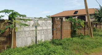 3 PLOTS- (2)100X100=40M EACH, (1)100X200=80M. PROPERTY AT ESUHE STREET OFF AMAGBA ROAD, OGUNWENYI VILLAGE, BENIN CITY, EDO STATE.