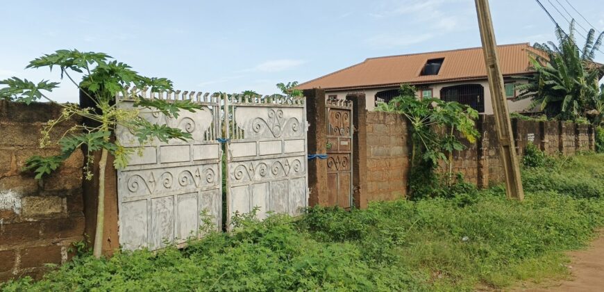 3 PLOTS- (2)100X100=40M EACH, (1)100X200=80M. PROPERTY AT ESUHE STREET OFF AMAGBA ROAD, OGUNWENYI VILLAGE, BENIN CITY, EDO STATE.