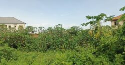 3 PLOTS- (2)100X100=40M EACH, (1)100X200=80M. PROPERTY AT ESUHE STREET OFF AMAGBA ROAD, OGUNWENYI VILLAGE, BENIN CITY, EDO STATE.