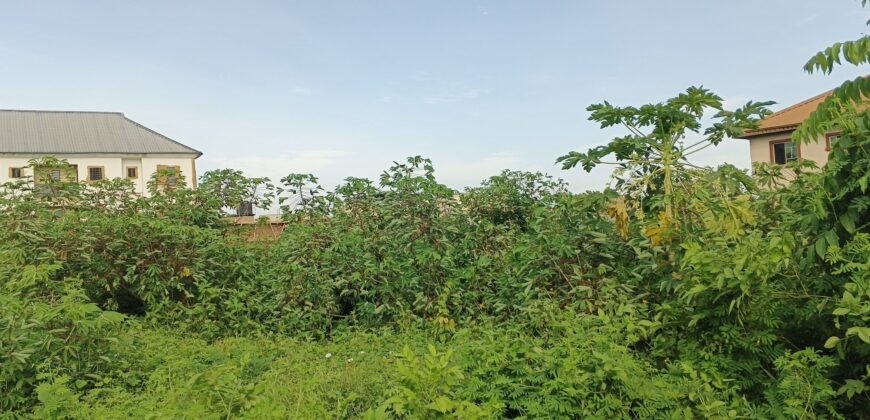3 PLOTS- (2)100X100=40M EACH, (1)100X200=80M. PROPERTY AT ESUHE STREET OFF AMAGBA ROAD, OGUNWENYI VILLAGE, BENIN CITY, EDO STATE.
