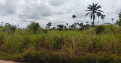 PROPERTY ALONG ODUNA ROAD, OFF UPPER EKEHUAN ROAD AFTER ARMY BARRACKS, BENIN CITY EDO STATE