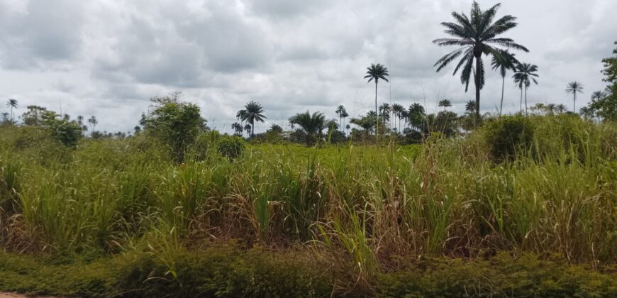 PROPERTY ALONG ODUNA ROAD, OFF UPPER EKEHUAN ROAD AFTER ARMY BARRACKS, BENIN CITY EDO STATE