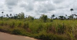PROPERTY ALONG ODUNA ROAD, OFF UPPER EKEHUAN ROAD AFTER ARMY BARRACKS, BENIN CITY EDO STATE
