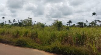 PROPERTY ALONG ODUNA ROAD, OFF UPPER EKEHUAN ROAD AFTER ARMY BARRACKS, BENIN CITY EDO STATE