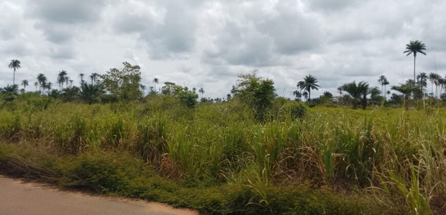 PROPERTY ALONG ODUNA ROAD, OFF UPPER EKEHUAN ROAD AFTER ARMY BARRACKS, BENIN CITY EDO STATE