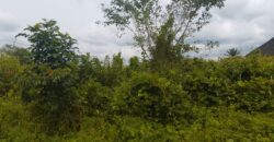 PROPERTY AT UROHO 1 COMMUNITY, OFF BENIN SAPELE ROAD BYPASS, BENIN CITY, EDO STATE