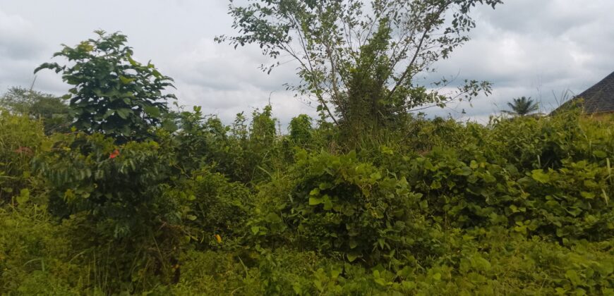 PROPERTY AT UROHO 1 COMMUNITY, OFF BENIN SAPELE ROAD BYPASS, BENIN CITY, EDO STATE