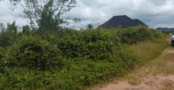 PROPERTY AT UROHO 1 COMMUNITY, OFF BENIN SAPELE ROAD BYPASS, BENIN CITY, EDO STATE