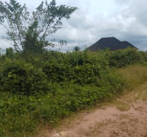 PROPERTY AT UROHO 1 COMMUNITY, OFF BENIN SAPELE ROAD BYPASS, BENIN CITY, EDO STATE