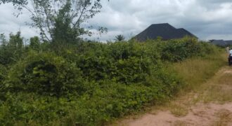 PROPERTY AT UROHO 1 COMMUNITY, OFF BENIN SAPELE ROAD BYPASS, BENIN CITY, EDO STATE