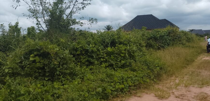 PROPERTY AT UROHO 1 COMMUNITY, OFF BENIN SAPELE ROAD BYPASS, BENIN CITY, EDO STATE