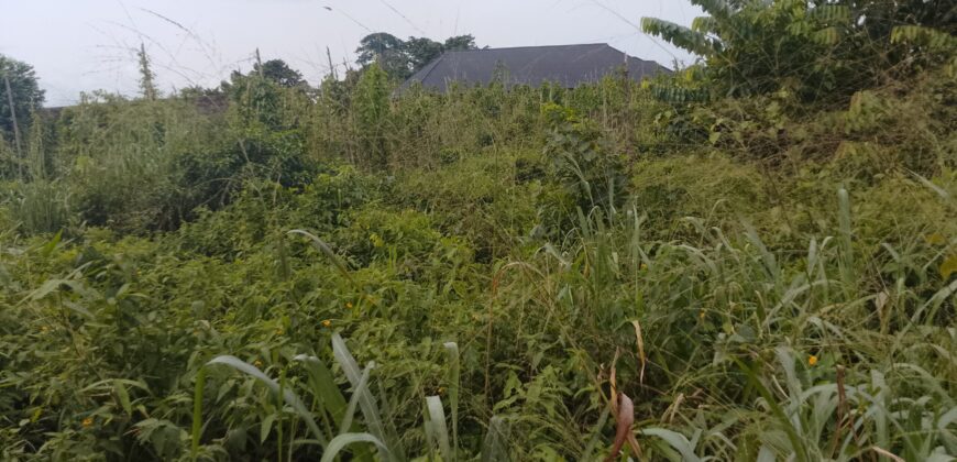 PROPERTY AT UROHO 1 COMMUNITY, OFF BENIN SAPELE ROAD BYPASS, BENIN CITY, EDO STATE