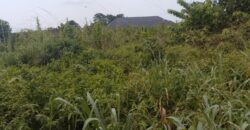 PROPERTY AT UROHO 1 COMMUNITY, OFF BENIN SAPELE ROAD BYPASS, BENIN CITY, EDO STATE