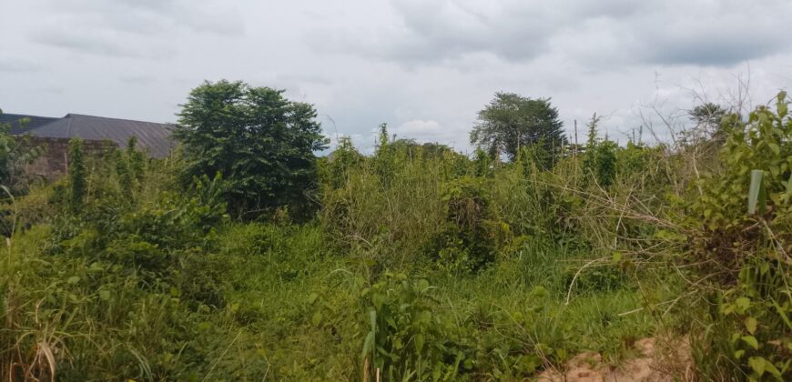 PROPERTY AT UROHO 1 COMMUNITY, OFF BENIN SAPELE ROAD BYPASS, BENIN CITY, EDO STATE